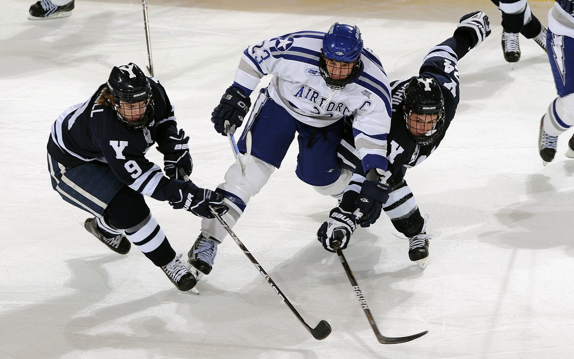 体育产业银行支持青少年篮球项目融资,促进行业资本流动,青少年体育公司
